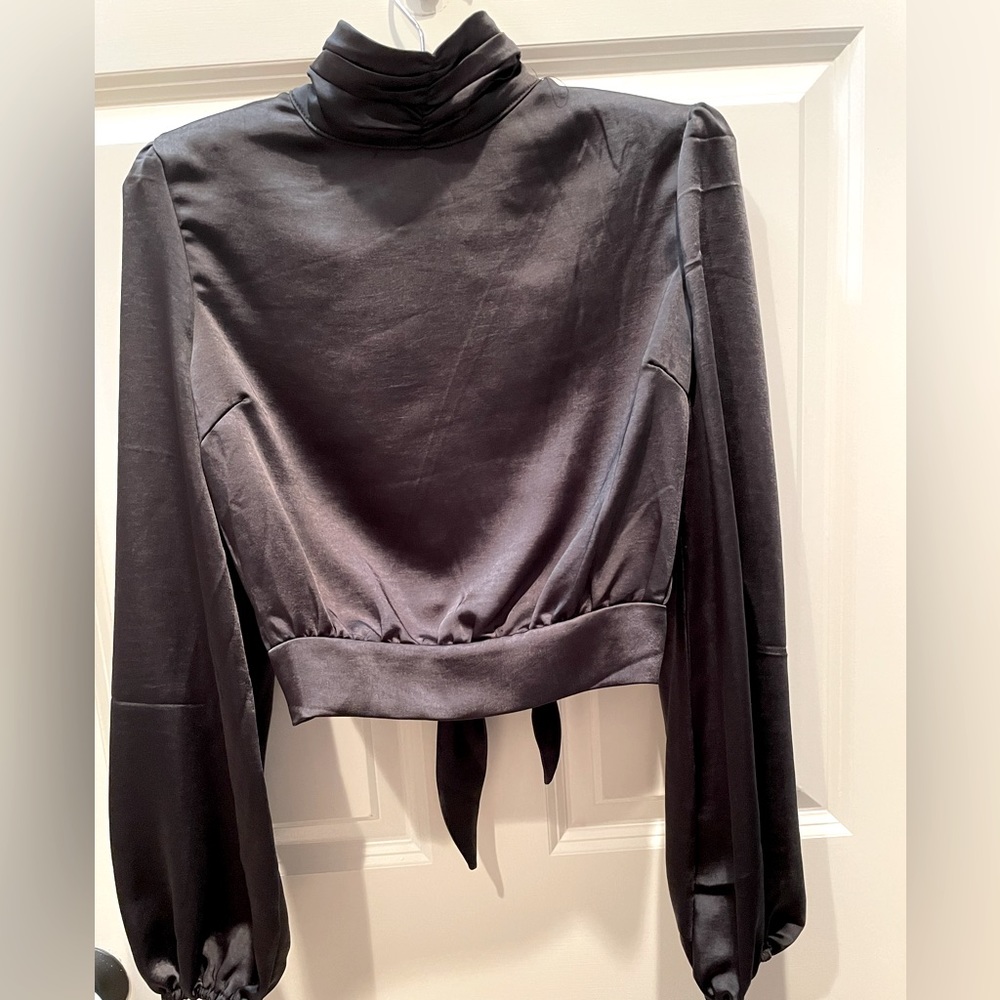COPY - Nasty Gal NWT  Beautiful black long sleeve backless silk top. US2